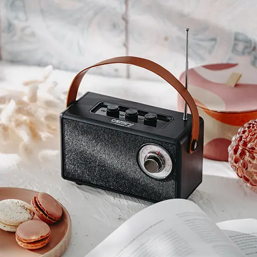 zvucnik-s-radijem-camry-cr-1902-b-bluetooth-5w-crni-36741-100678rn.webp