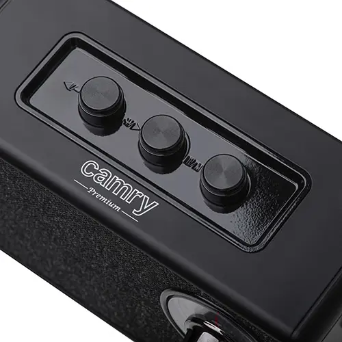 zvucnik-s-radijem-camry-cr-1902-b-bluetooth-5w-crni-42603-100678rn.webp
